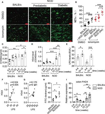 Neutrophil Extracellular Traps Caused by Gut Leakage Trigger the Autoimmune Response in Nonobese Diabetic Mice